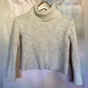BANANA REPUBLIC Merino Wool Alpaca Chunky Crop Turtleneck Sweater (Oatmeal Marl)